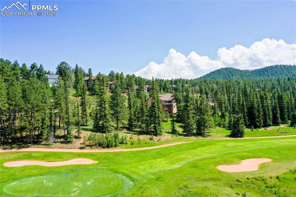 Image 45 of 47: View from the back of the house overlooking the golf course and trees.