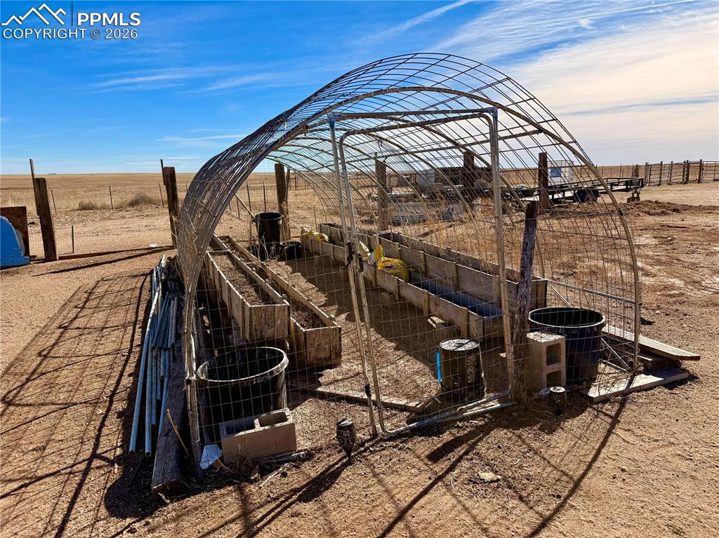 Image 7 of 11: Garden