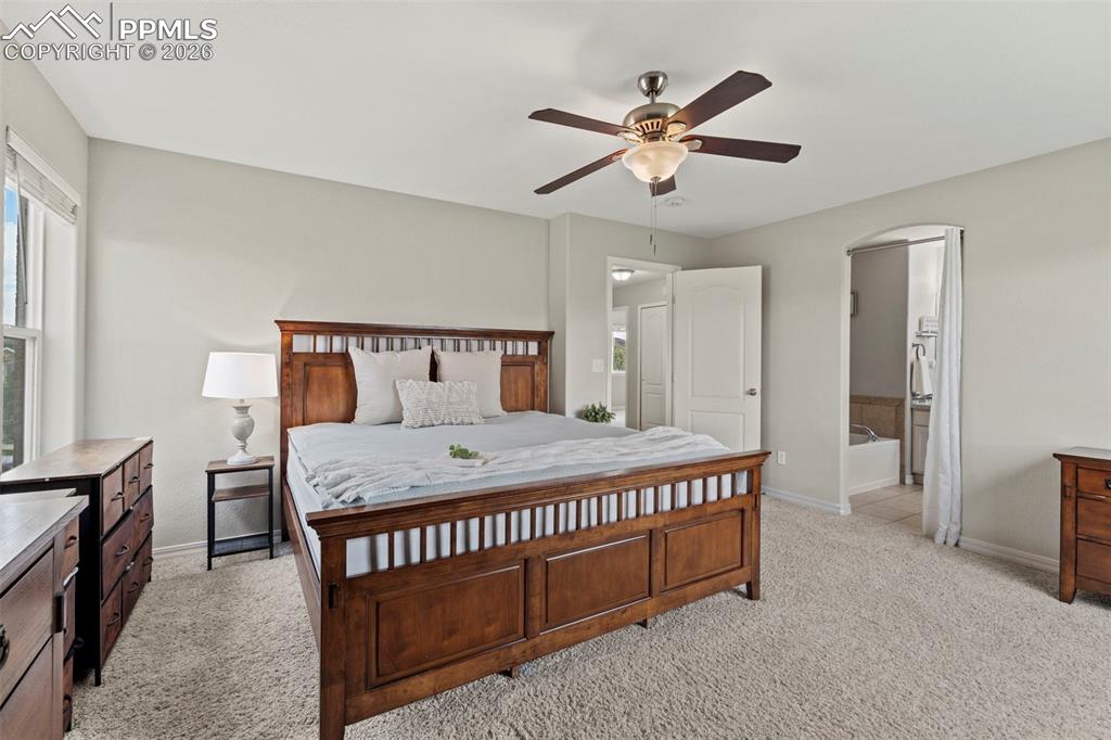 Image 25 of 48: No Description Available