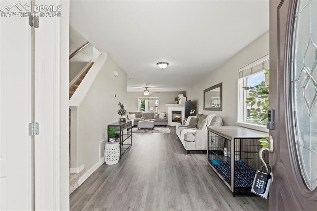 Image 4 of 48: No Description Available