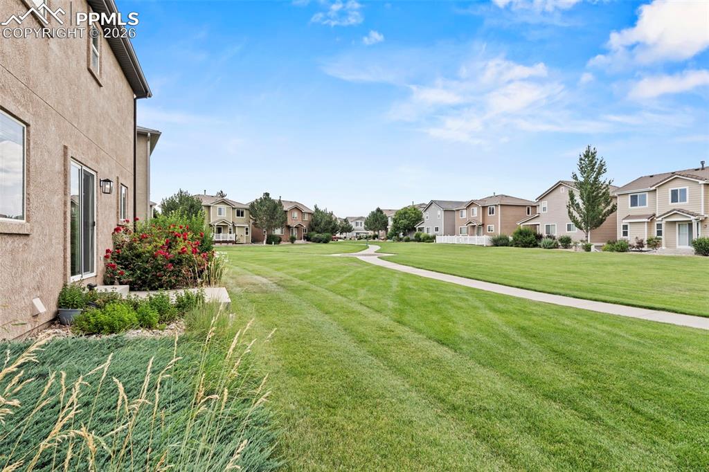 Image 40 of 48: No Description Available