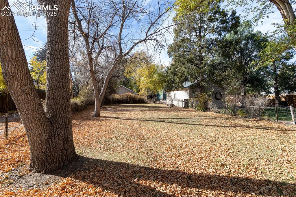 Image 23 of 24: View of yard