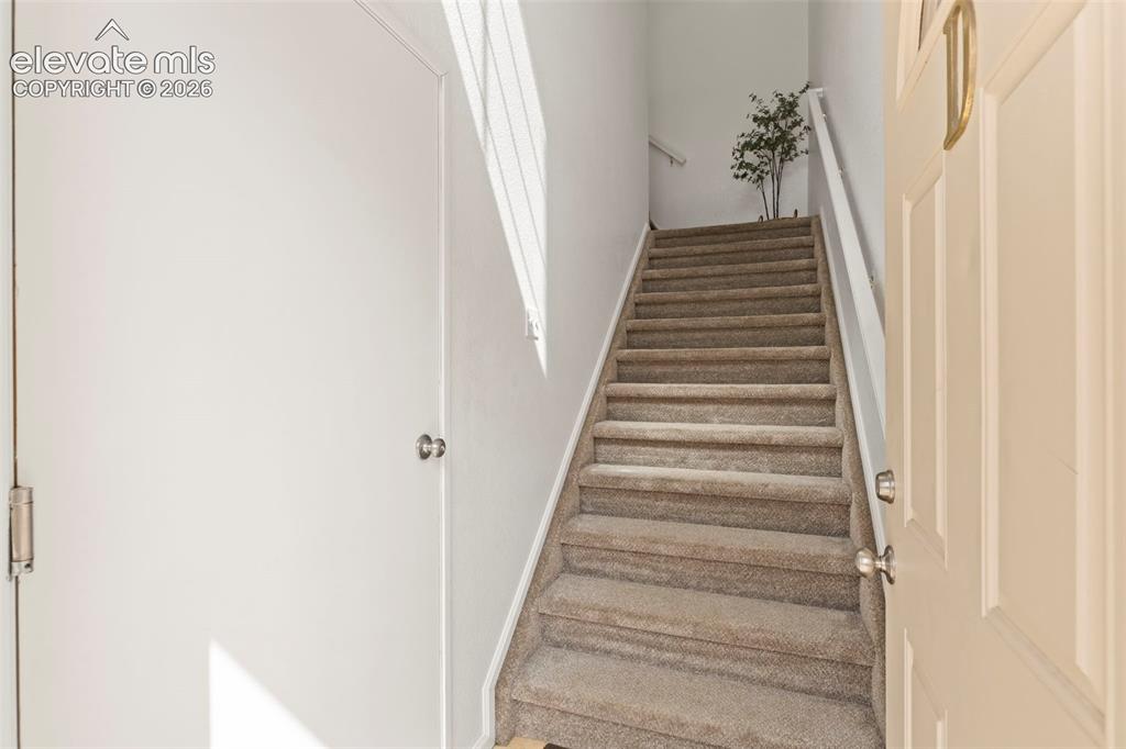 Image 2 of 22: Carpeted staircase with white handrail and neutral wall finishes