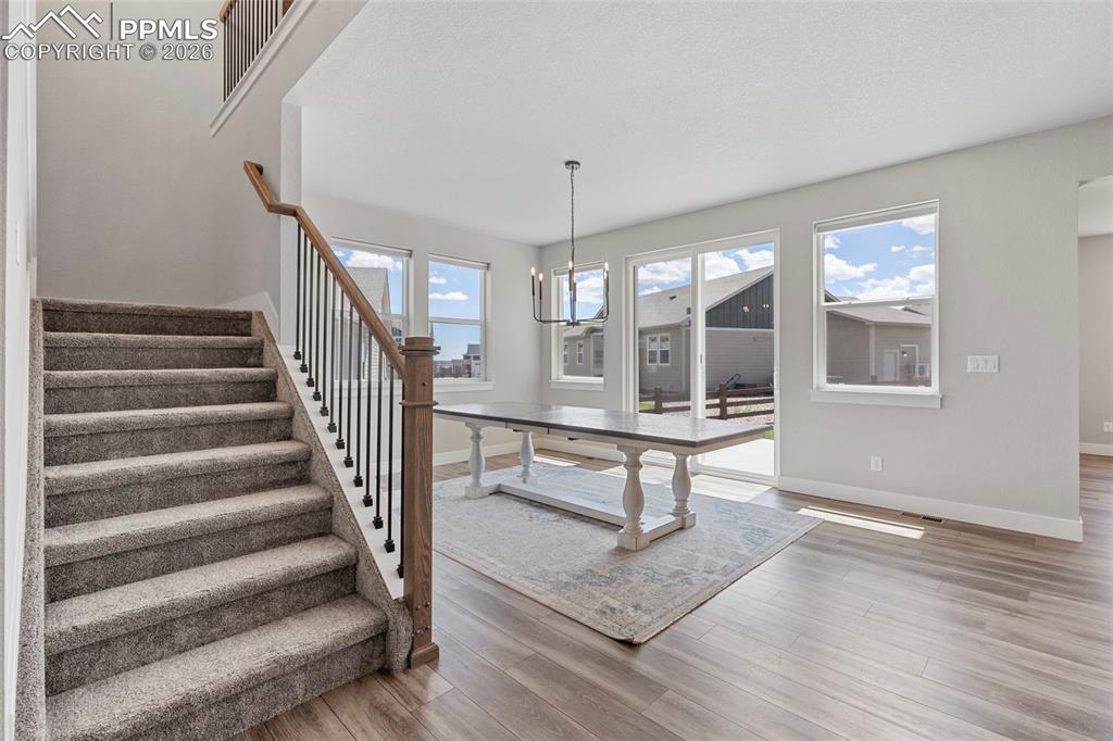 Image 19 of 50: Other