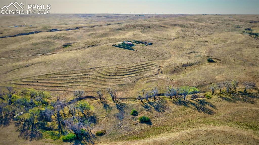 Image 34 of 34: A quarter mile of creek bottom with mature cottonwood and walnut trees and