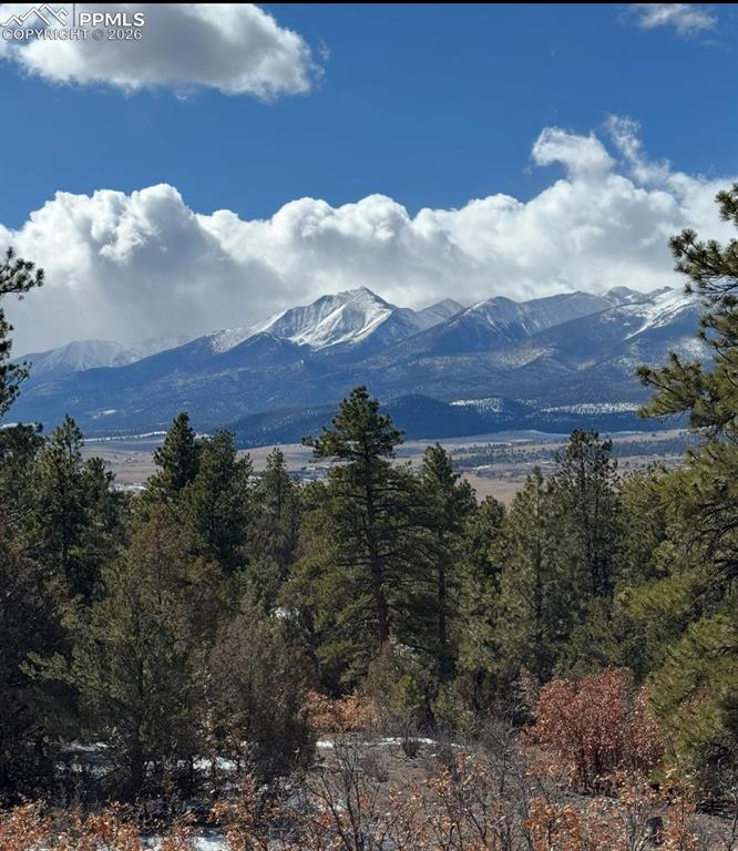 Image 3 of 49: Stunning views