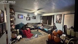 Image 14 of 31: Living Room