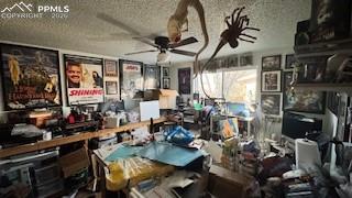 Image 3 of 31: Other