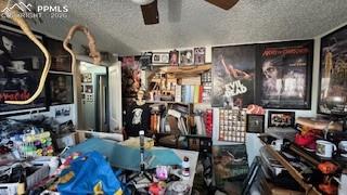 Image 4 of 31: Other