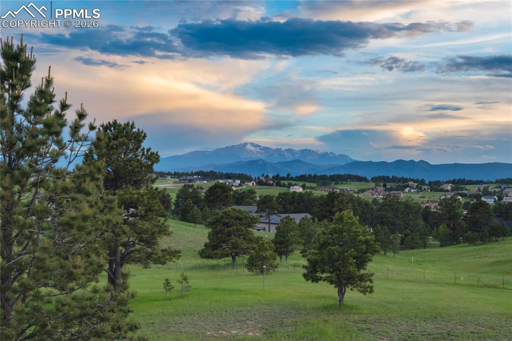 Image 39 of 46: View