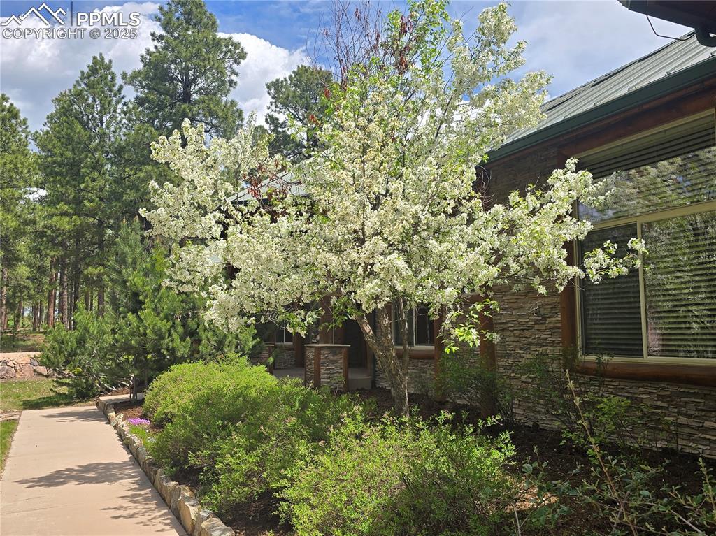 Image 47 of 50: Amazing landscaping blooming in the Spring