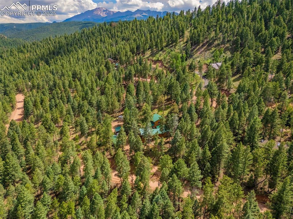 Image 32 of 32: Aerial view of a heavily wooded area and a mountain backdrop