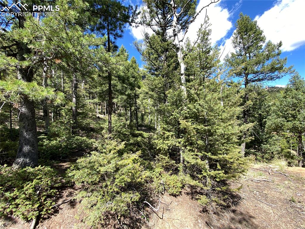 Image 10 of 16: Looking West from the Build site