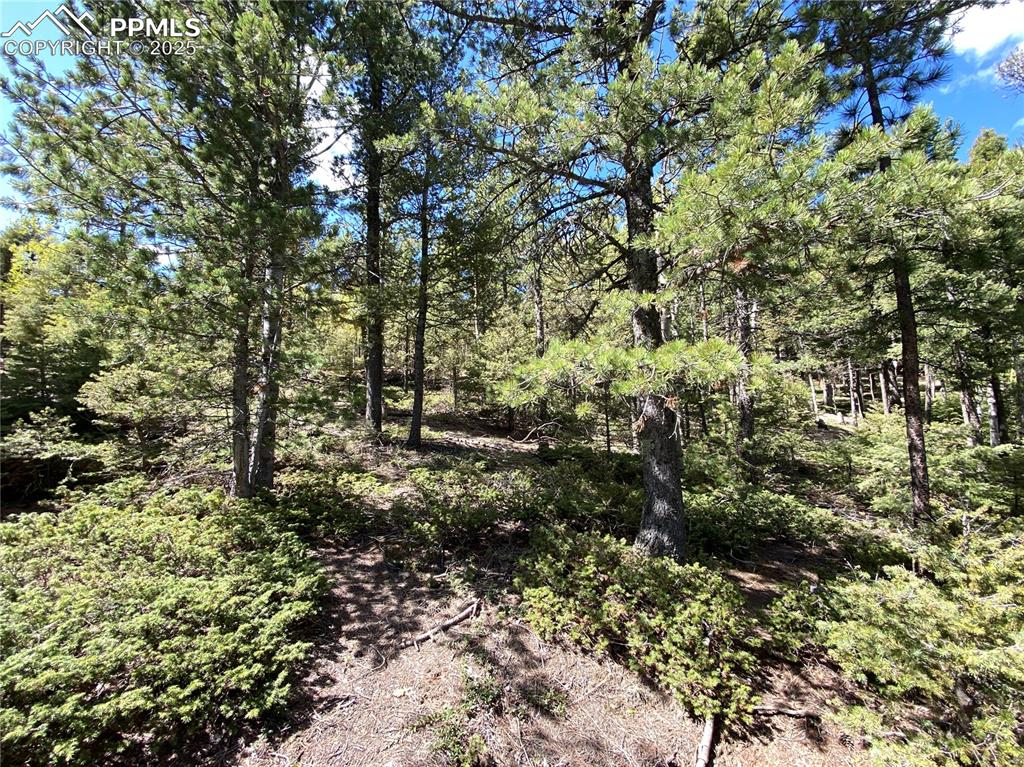 Image 11 of 16: Looking South from the Build site