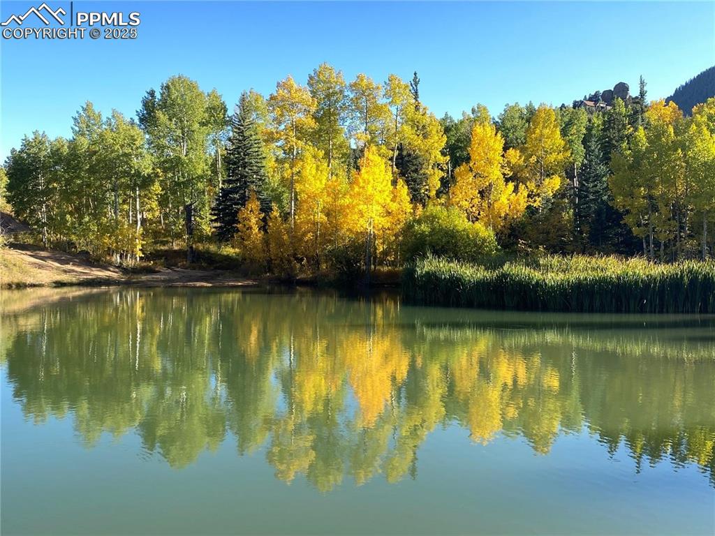 Image 16 of 16: Stocked Trout pond that doubles as an ice rink in the Winter.