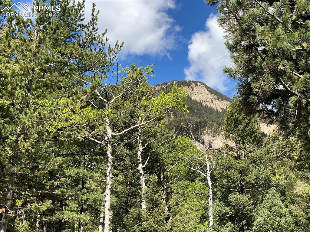 Image 2 of 16: Build site view of Cameron Cone!