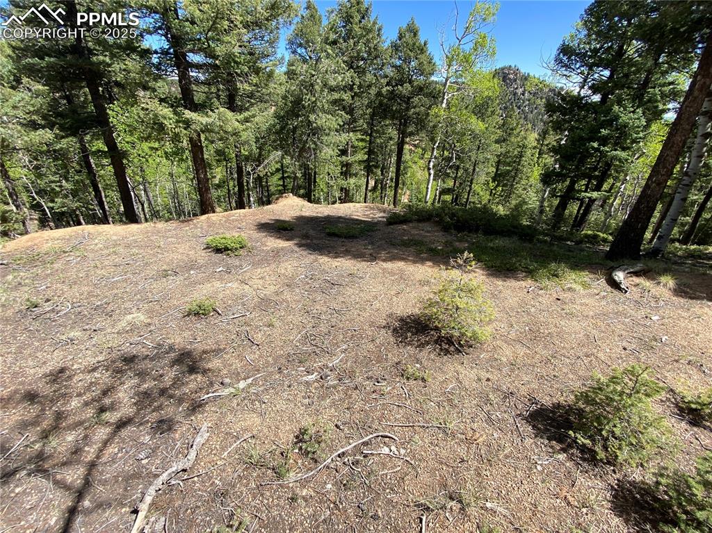 Image 9 of 16: Build site