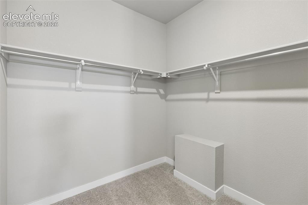 Image 19 of 40: Walk-in storage space featuring neutral carpeting and wrap-around wall-moun