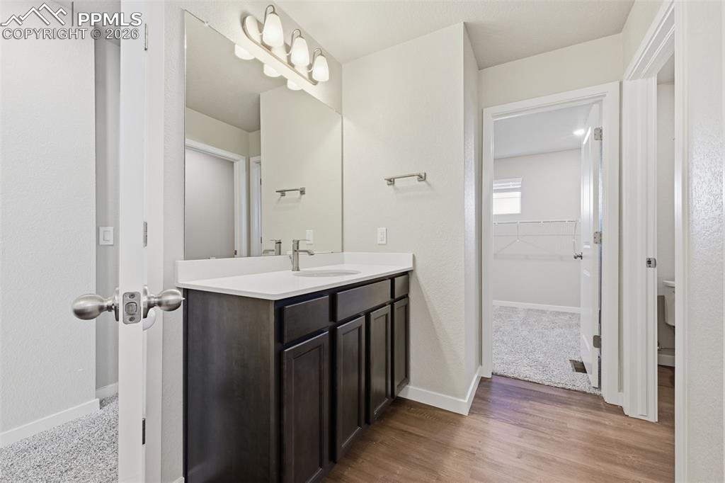 Image 28 of 48: Full bathroom with vanity, a walk in closet, and light wood-style flooring