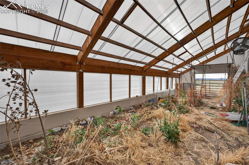 Image 45 of 50: Greenhouse 50