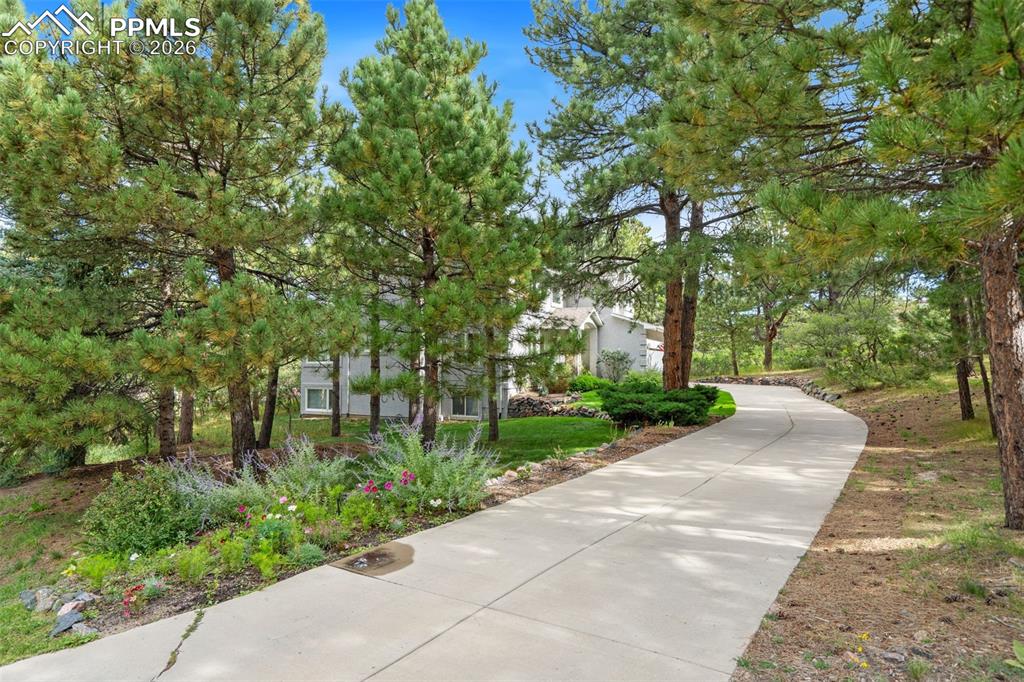 Image 10 of 49: Front of Structure