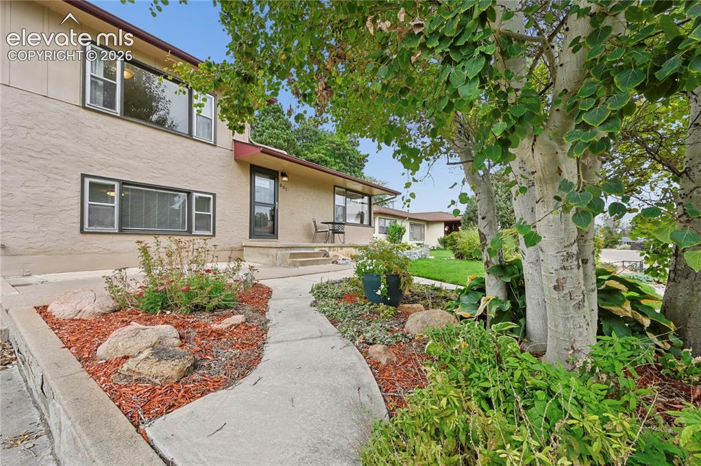 Image 4 of 50: Beautifully Landscaped Front Yard