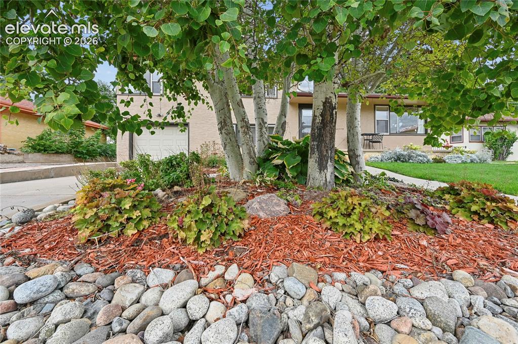 Image 5 of 50: Beautifully Landscaped Front Yard