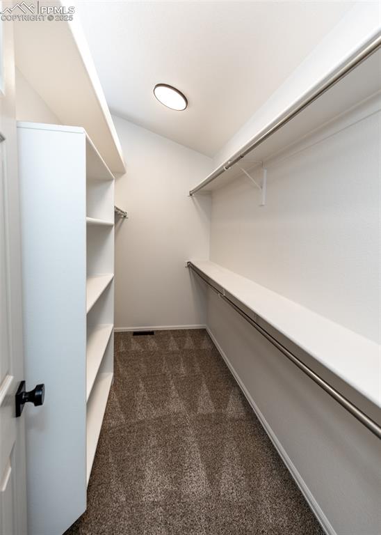 Image 35 of 50: Spacious closet with dark colored carpet
