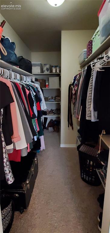 Image 10 of 20: Walk-in closet featuring carpet flooring, built-in shelving, and clothes ro