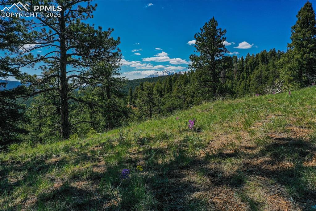 Image 15 of 49: View