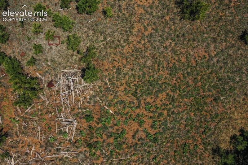 Image 20 of 49: Aerial View