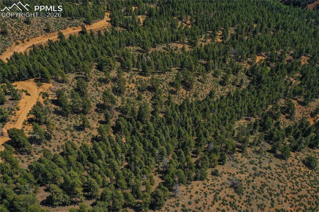 Image 37 of 49: Aerial View