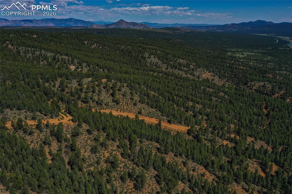 Image 38 of 49: Aerial View
