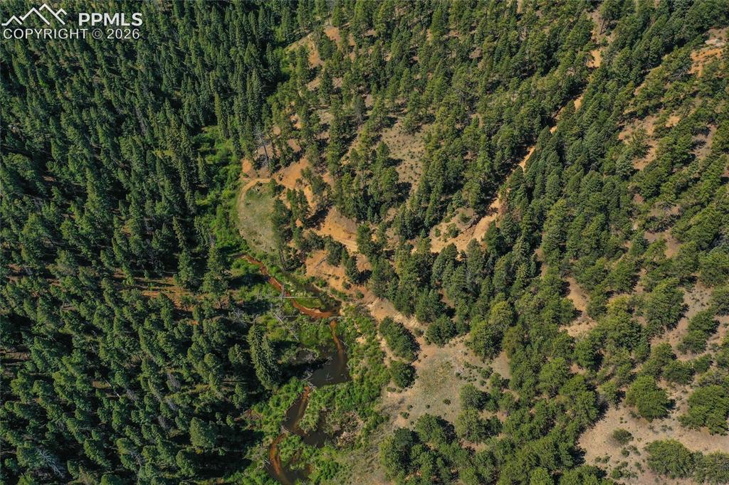 Image 40 of 49: Aerial View
