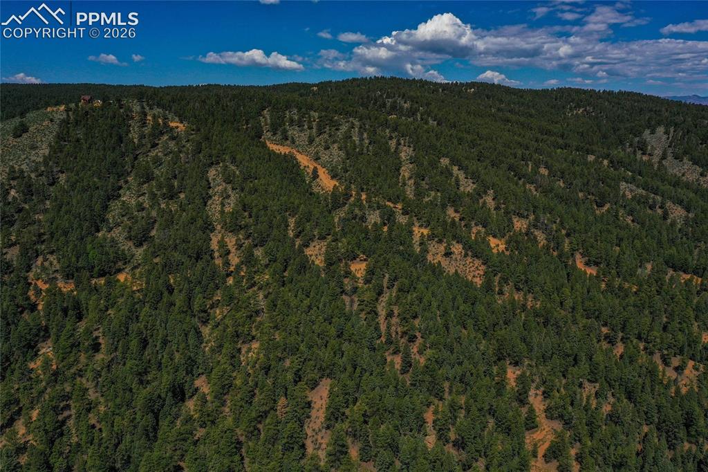 Image 41 of 49: Aerial View