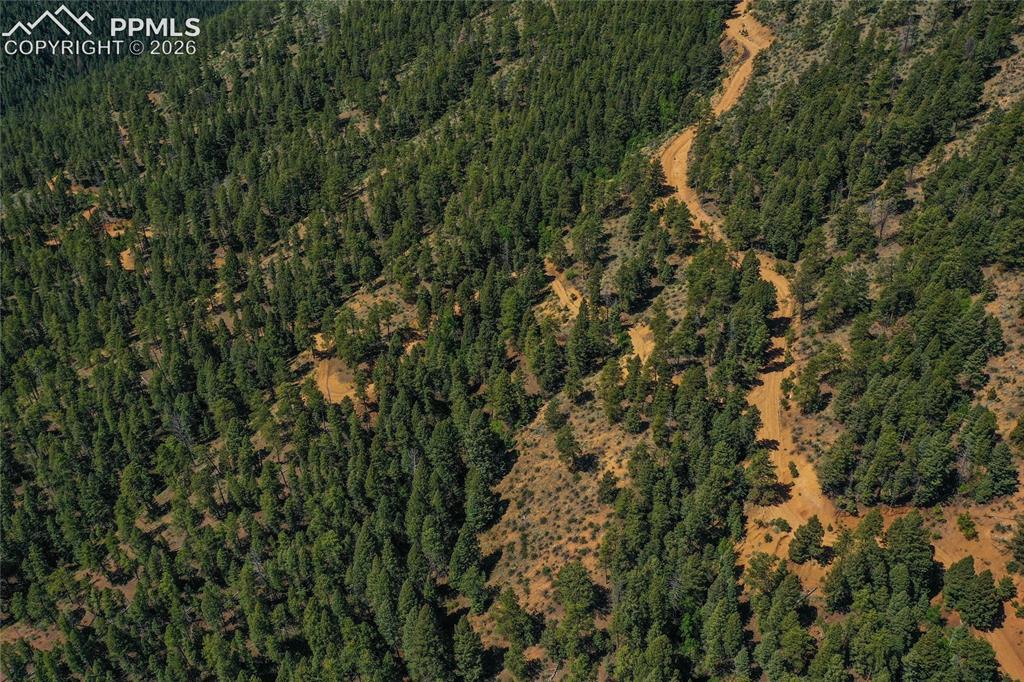 Image 42 of 49: Aerial View