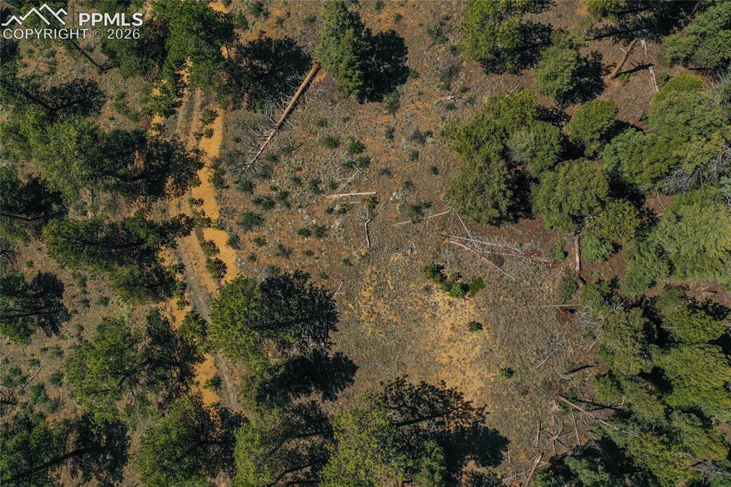 Image 43 of 49: Aerial View