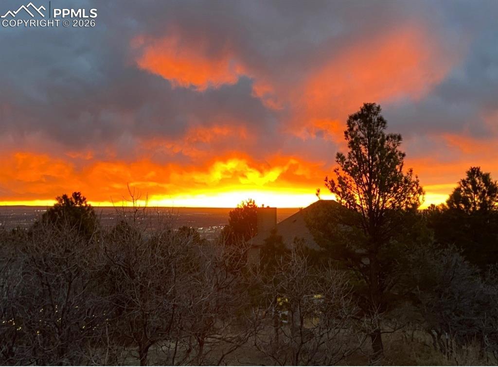 Image 35 of 35: Other