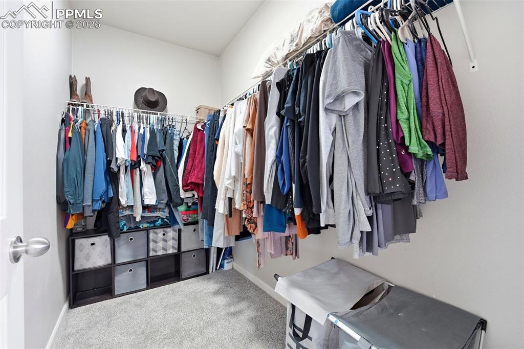 Image 20 of 41: Walk in closet featuring carpet flooring