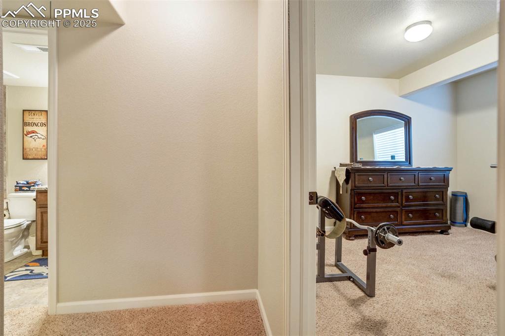 Image 39 of 49: Corridor with carpet flooring