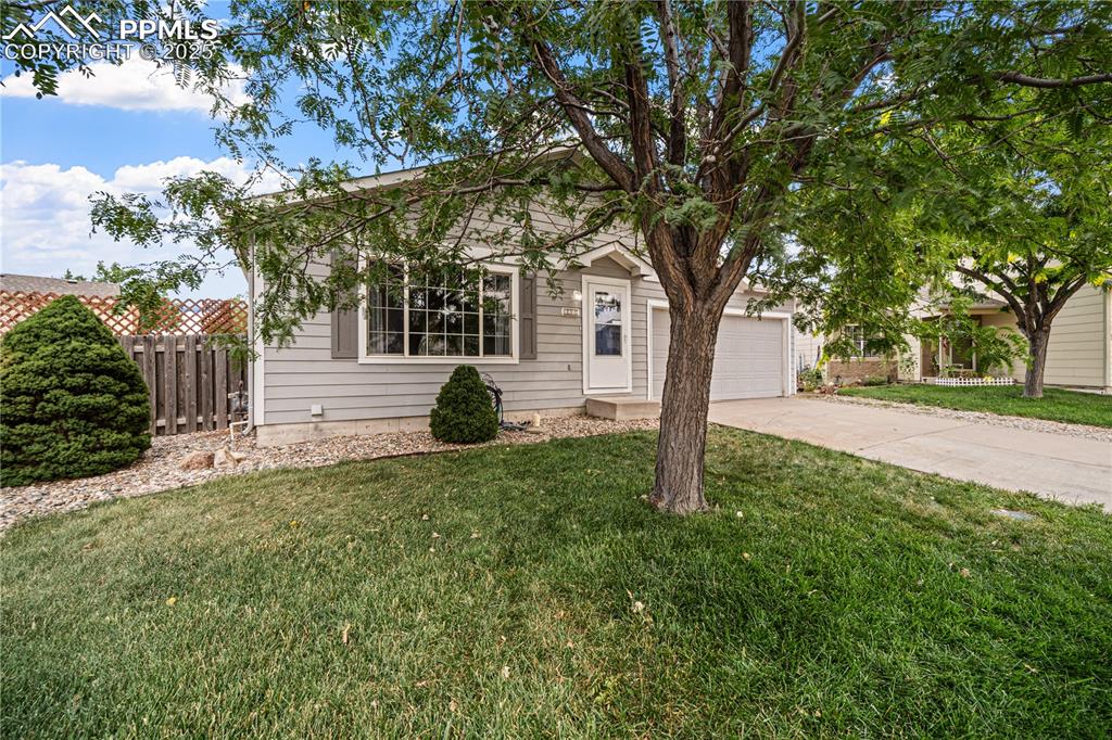 Image 25 of 28: Front of Structure