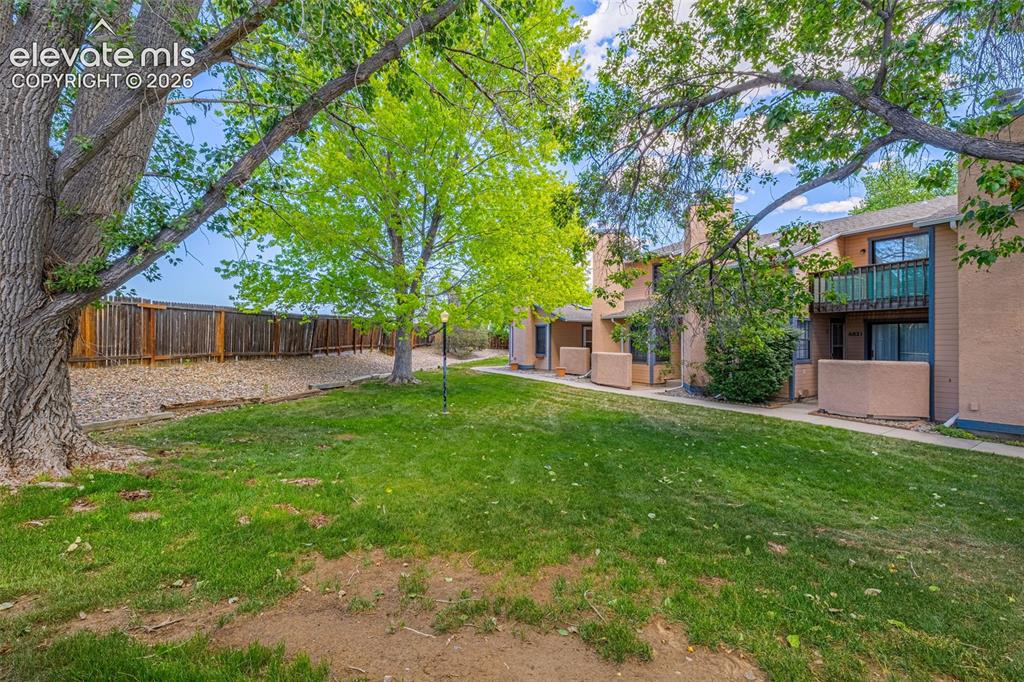 Image 5 of 18: Yard