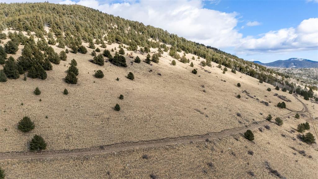 Image 13 of 19: View