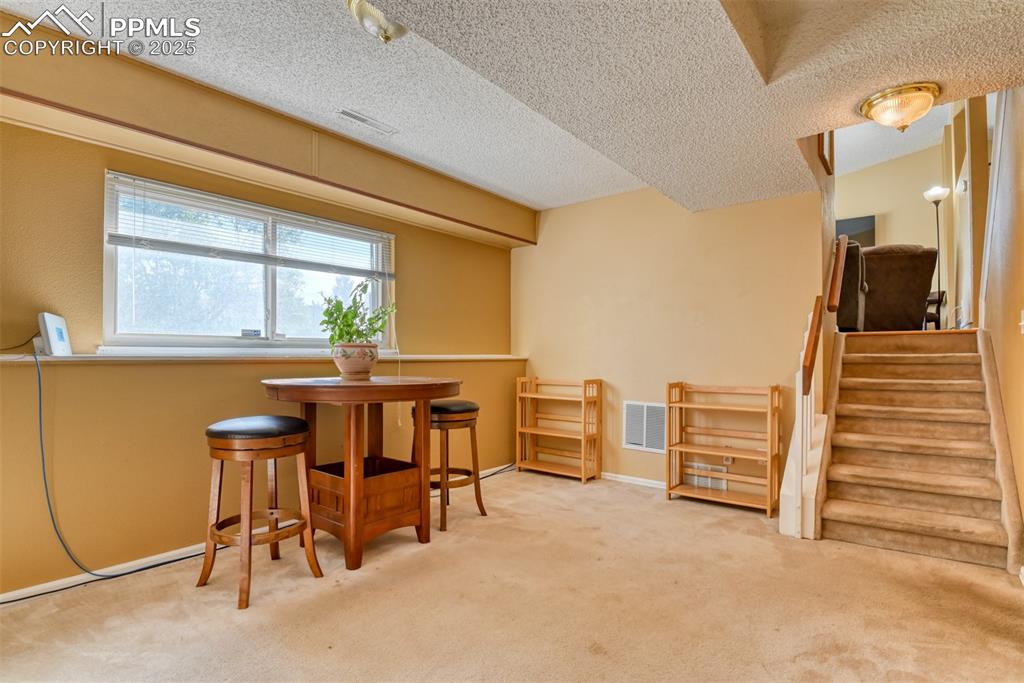 Image 18 of 38: Lower level large Living Area with fireplace
