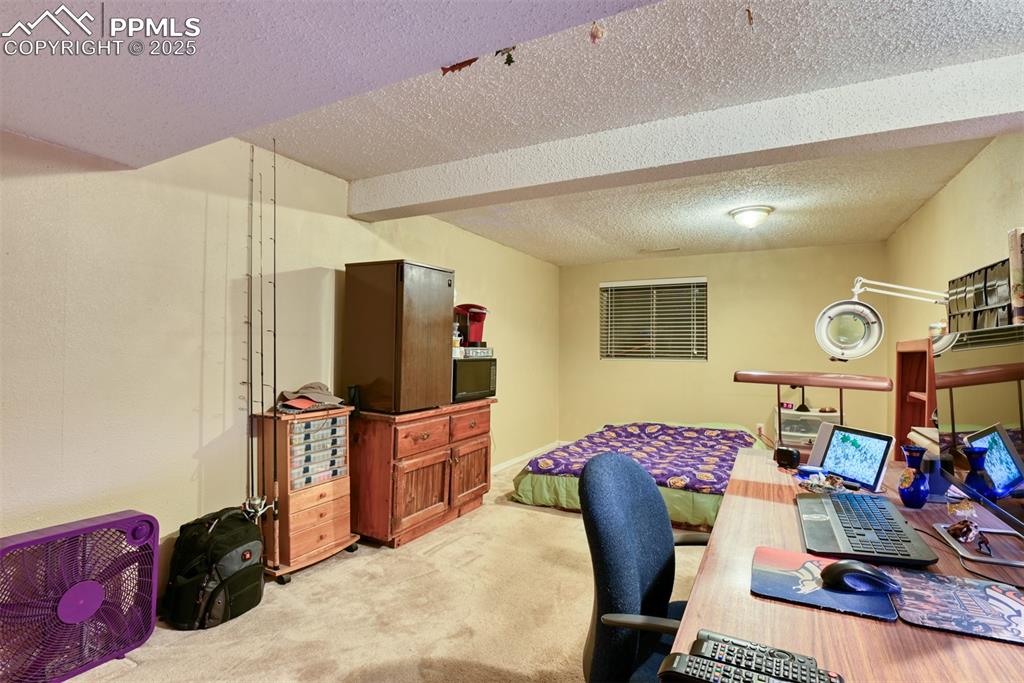 Image 29 of 38: Large Bedroom in basement with a and light colored carpet