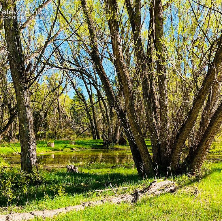 Image 38 of 49: Seasonal Pond (Photo from last summer!)