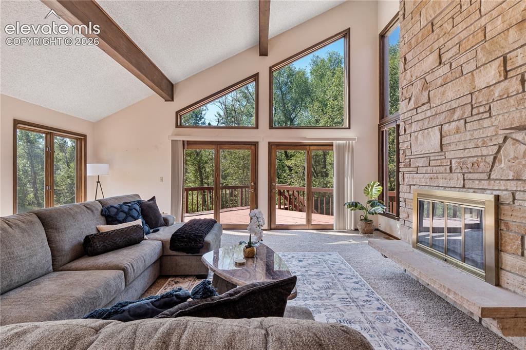 Image 4 of 49: Huge windows bring nature inside! The only way your view will change is if