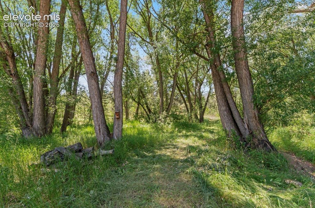Image 43 of 49: Trees, meadow, creek crossings and million $ views!