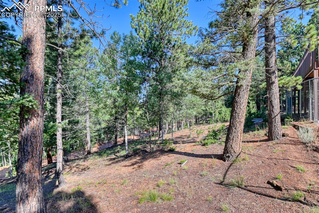 Image 38 of 38: Over 2 acres with abundant wildlife