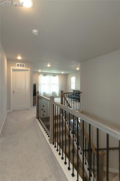 Image 17 of 44: Other